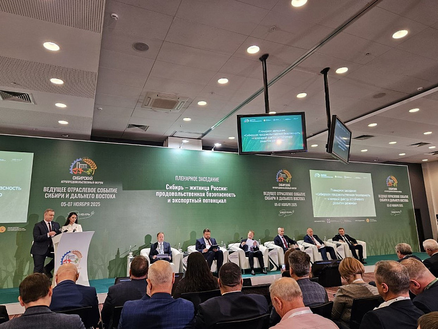 Сибирский форум