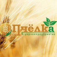 ООО «Пчелка»