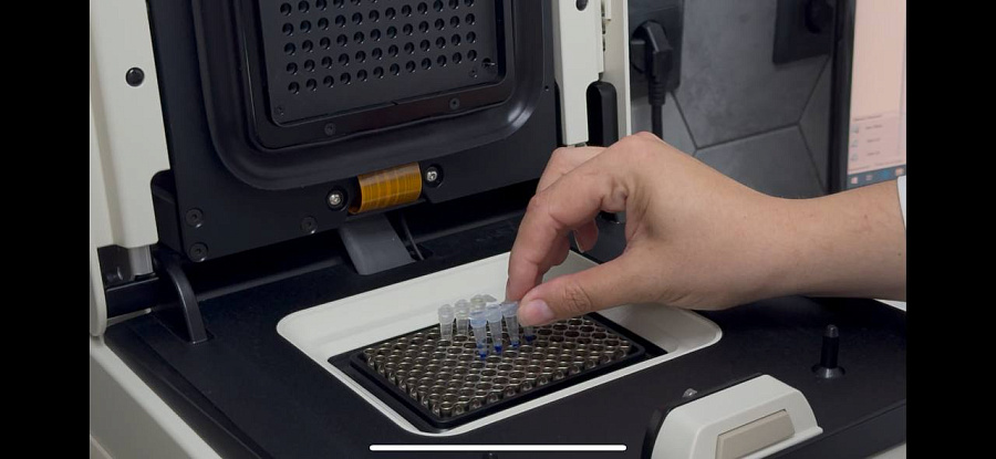 Соевый суверенитет