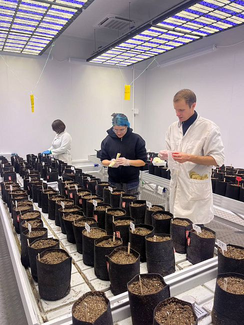 От лаборатории к полю