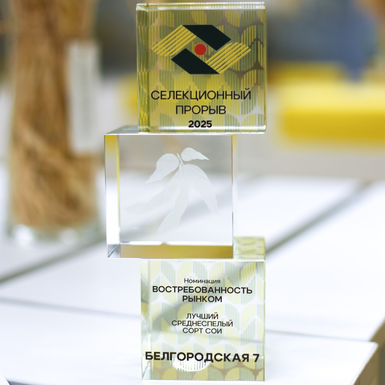 Соя «Белгородская 7»